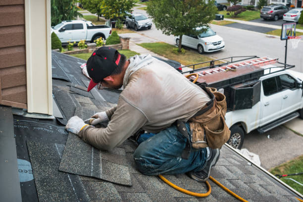 Professional Storm Damage Roof Repair technician working in Dennis, MS